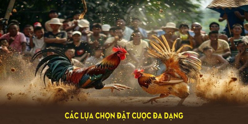 Khám phá các lựa chọn đặt cược đa dạng trong đá gà cựa dao