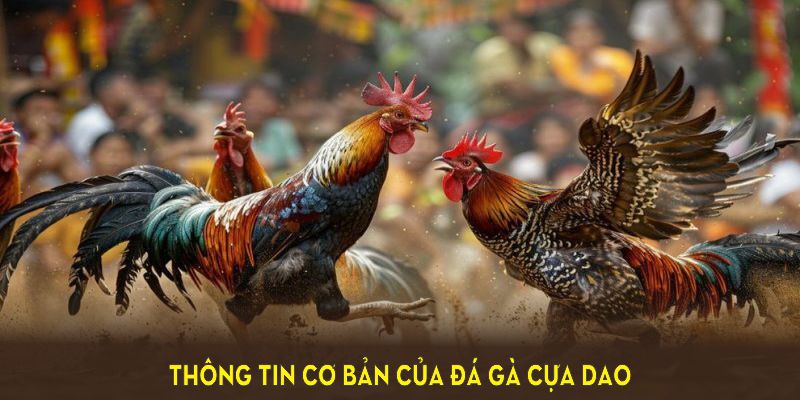 Khám phá những thông tin cơ bản của đá gà cựa dao tại 88BET